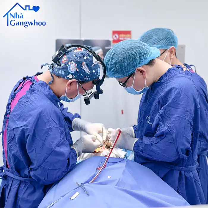 Review Top 3 Cơ Sở Nâng Mũi Ở Tiền Giang Được Khách Hàng Đánh Giá Cao